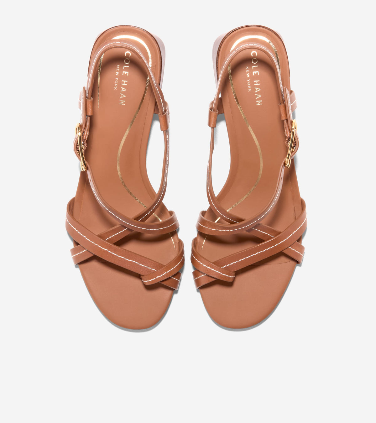 Women's Dillon Block Heel Thong Sandals in Brown | Cole Haan