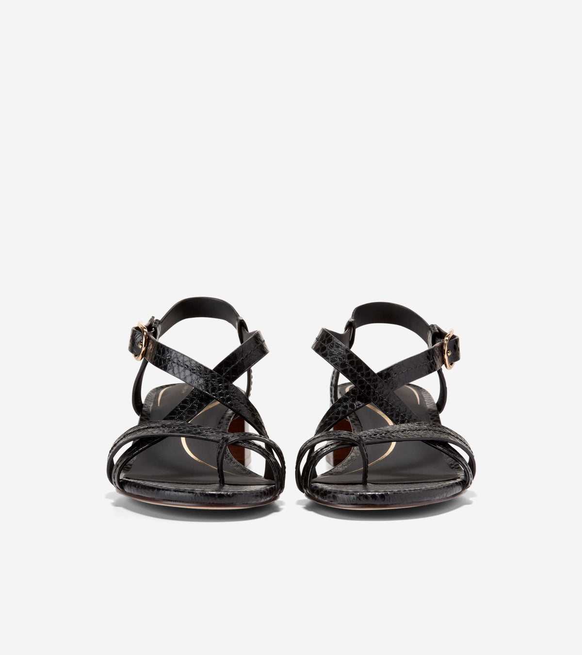 Women's Dillon Block Heel Thong Sandals in Black | Cole Haan