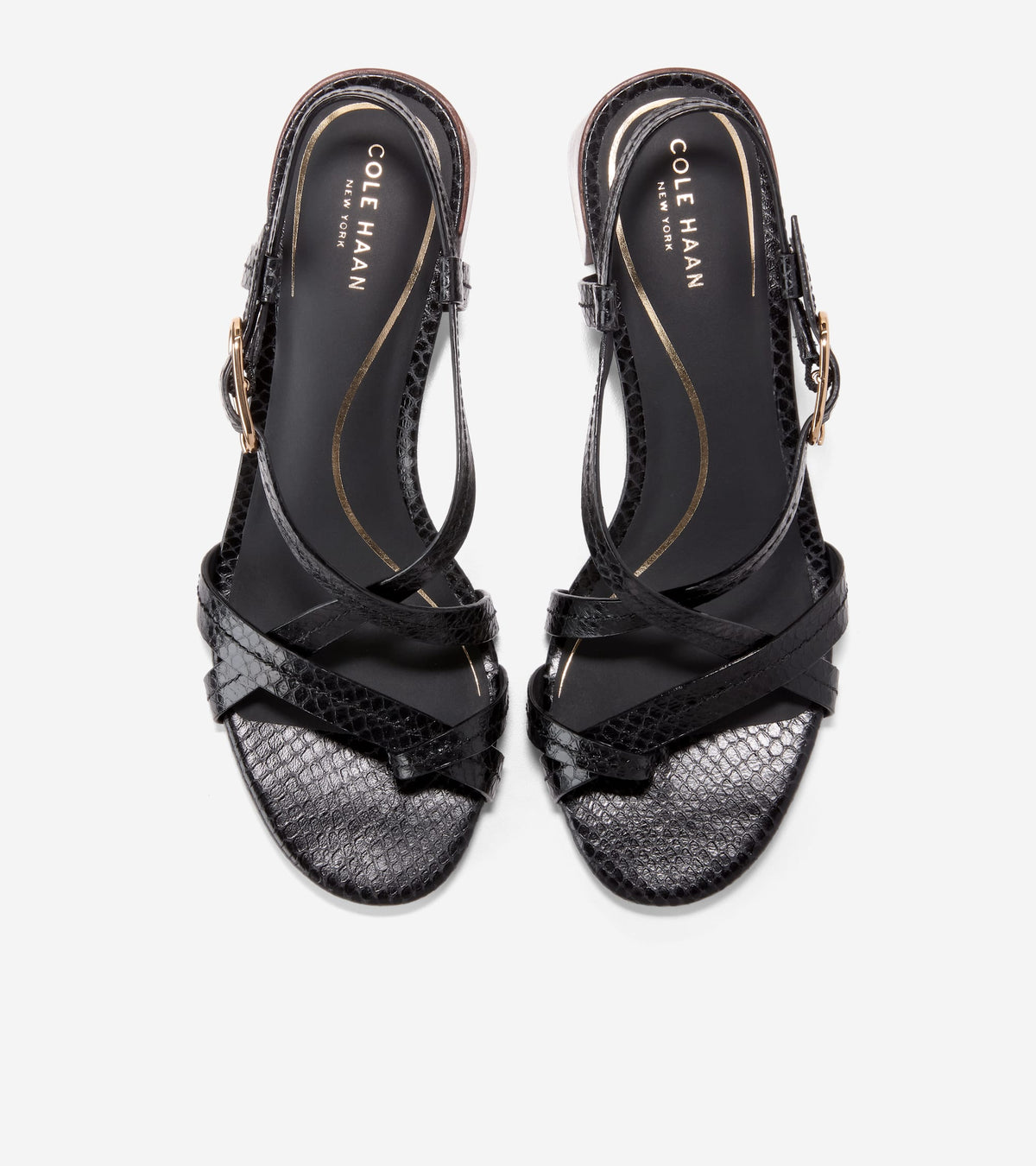 Women's Dillon Block Heel Thong Sandals in Black | Cole Haan